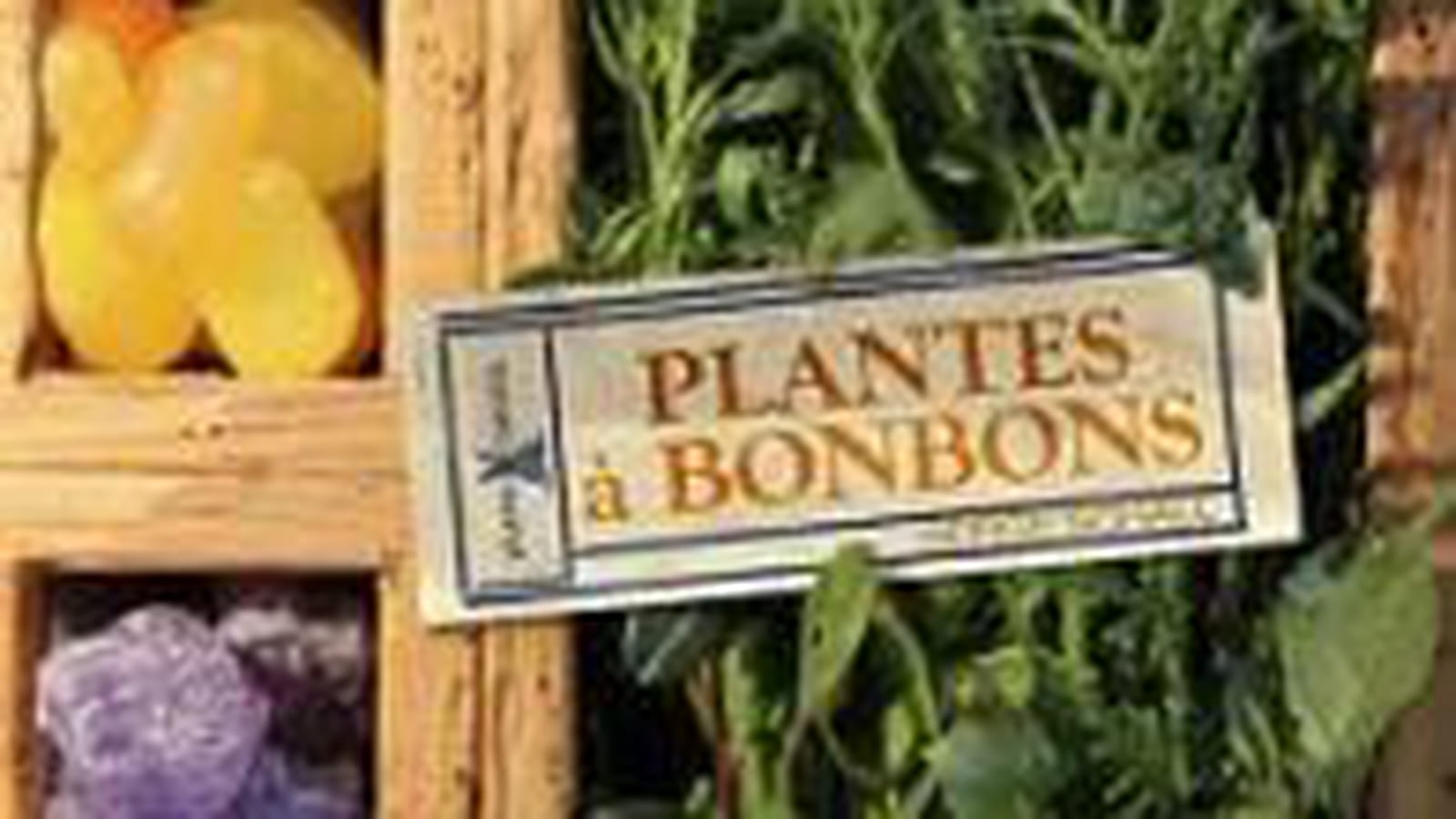Plantes à bonbons