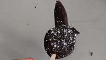 Sucette au chocolat Lapin : Etape 5