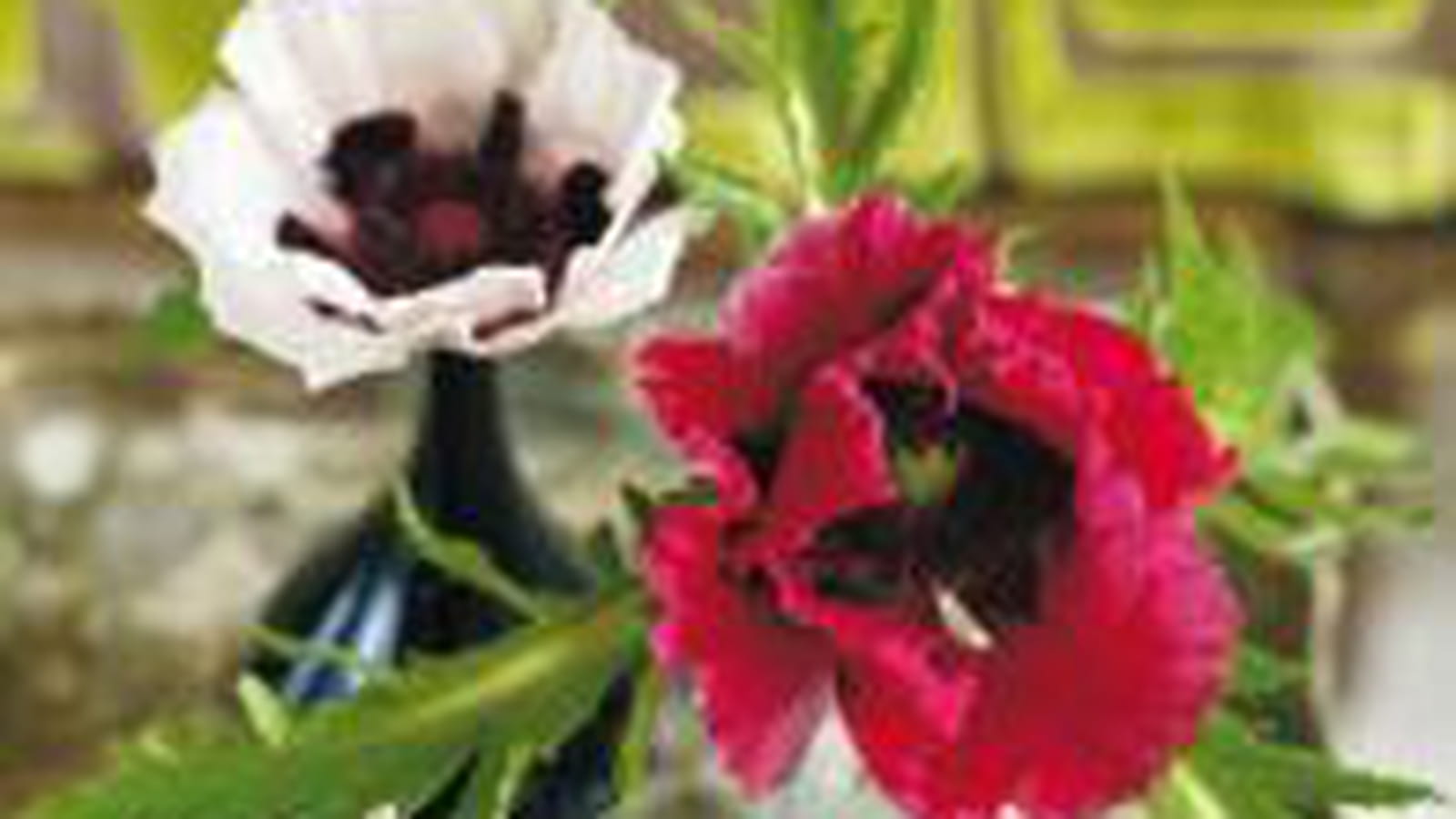 Esprit jardin