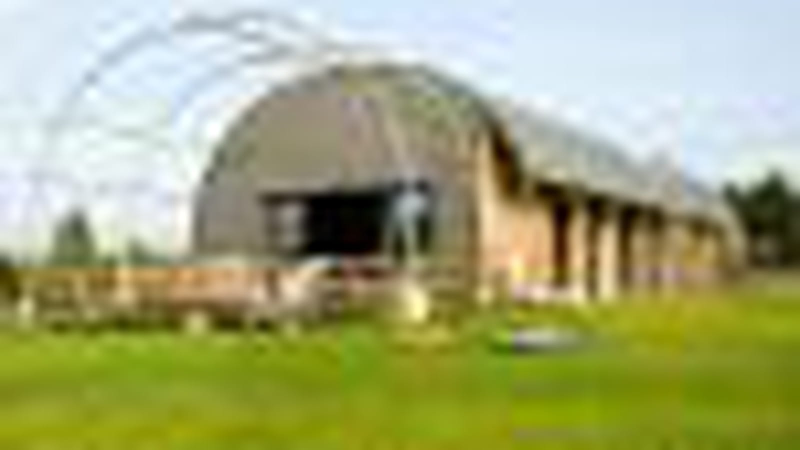161 m²