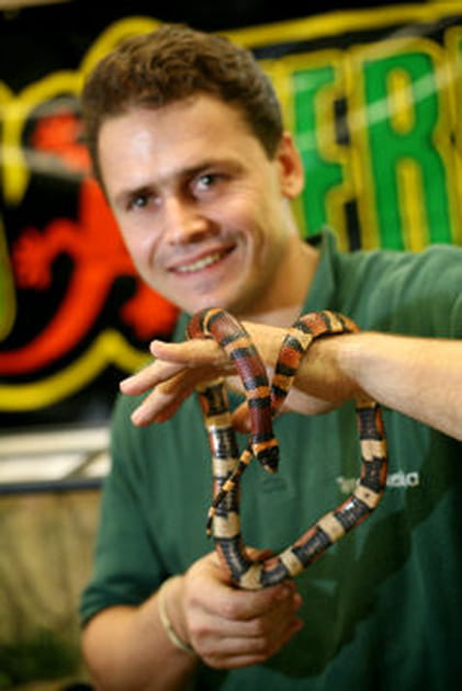 Serpents et animaux tropicaux