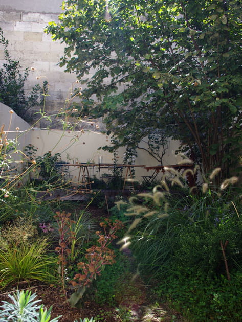 Premier foisonnement