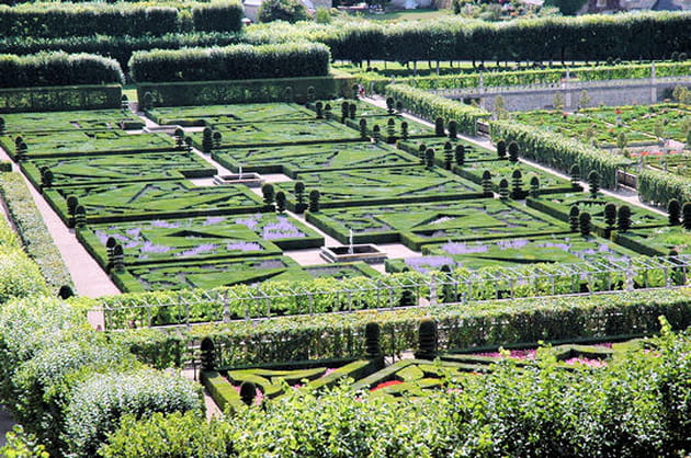 Le jardin de la musique