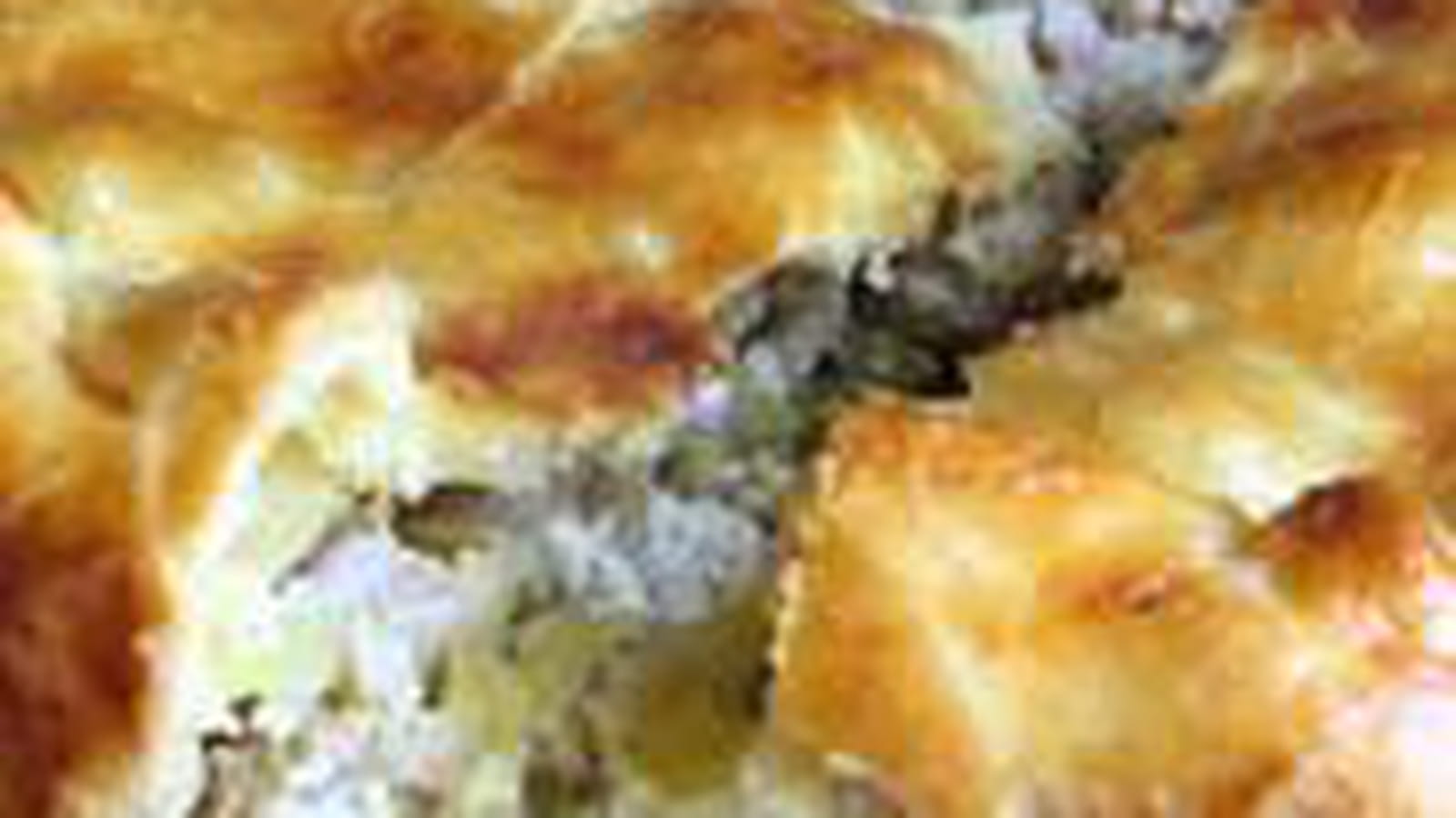 Tourte à la volaille