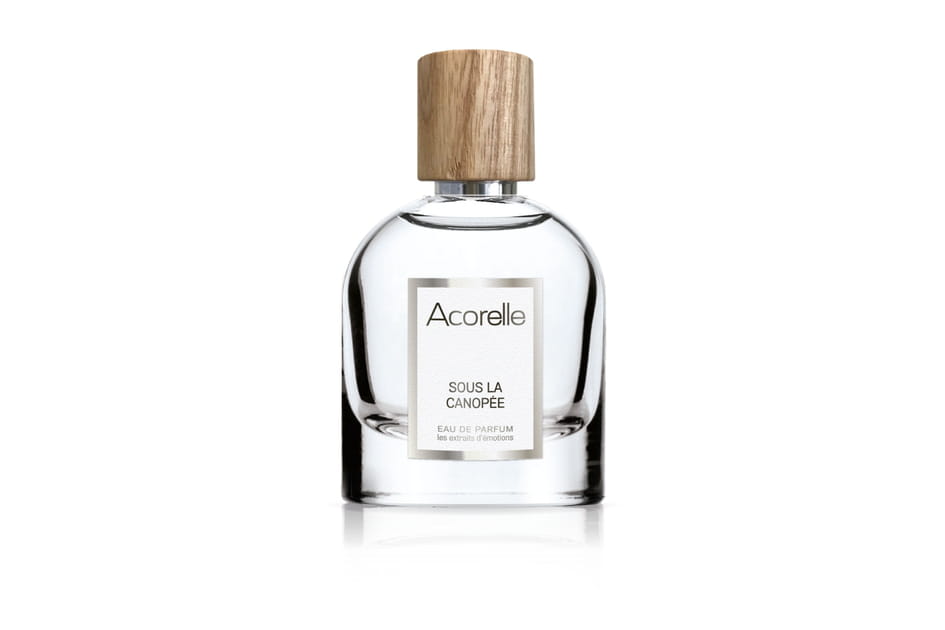 Sous La Canop&eacute;e, Acorelle