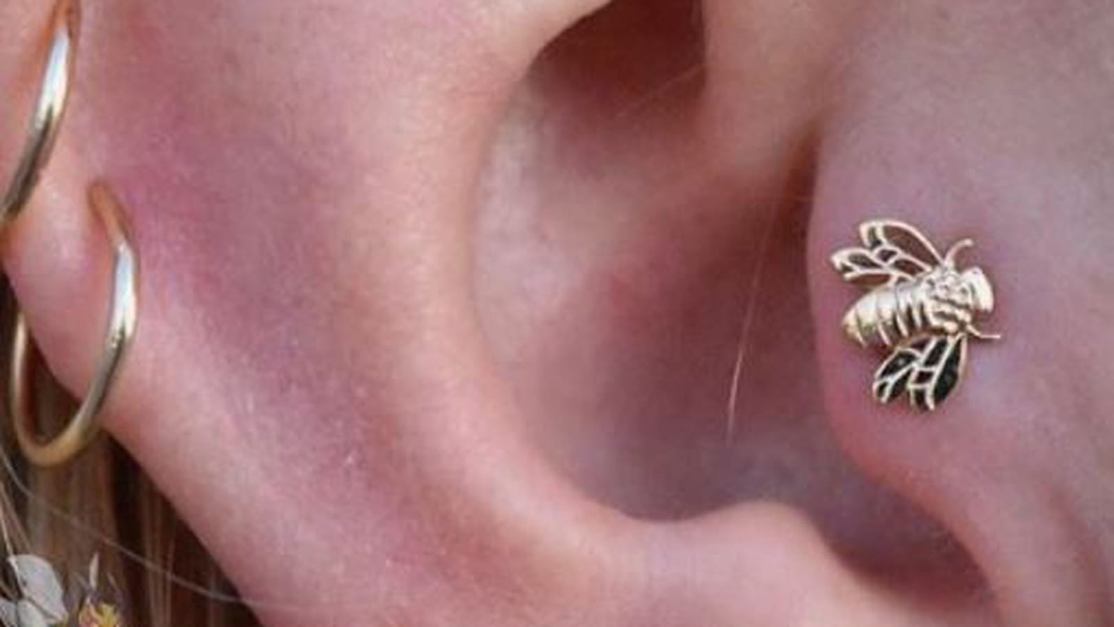 L'abeille dorée sur le tragus