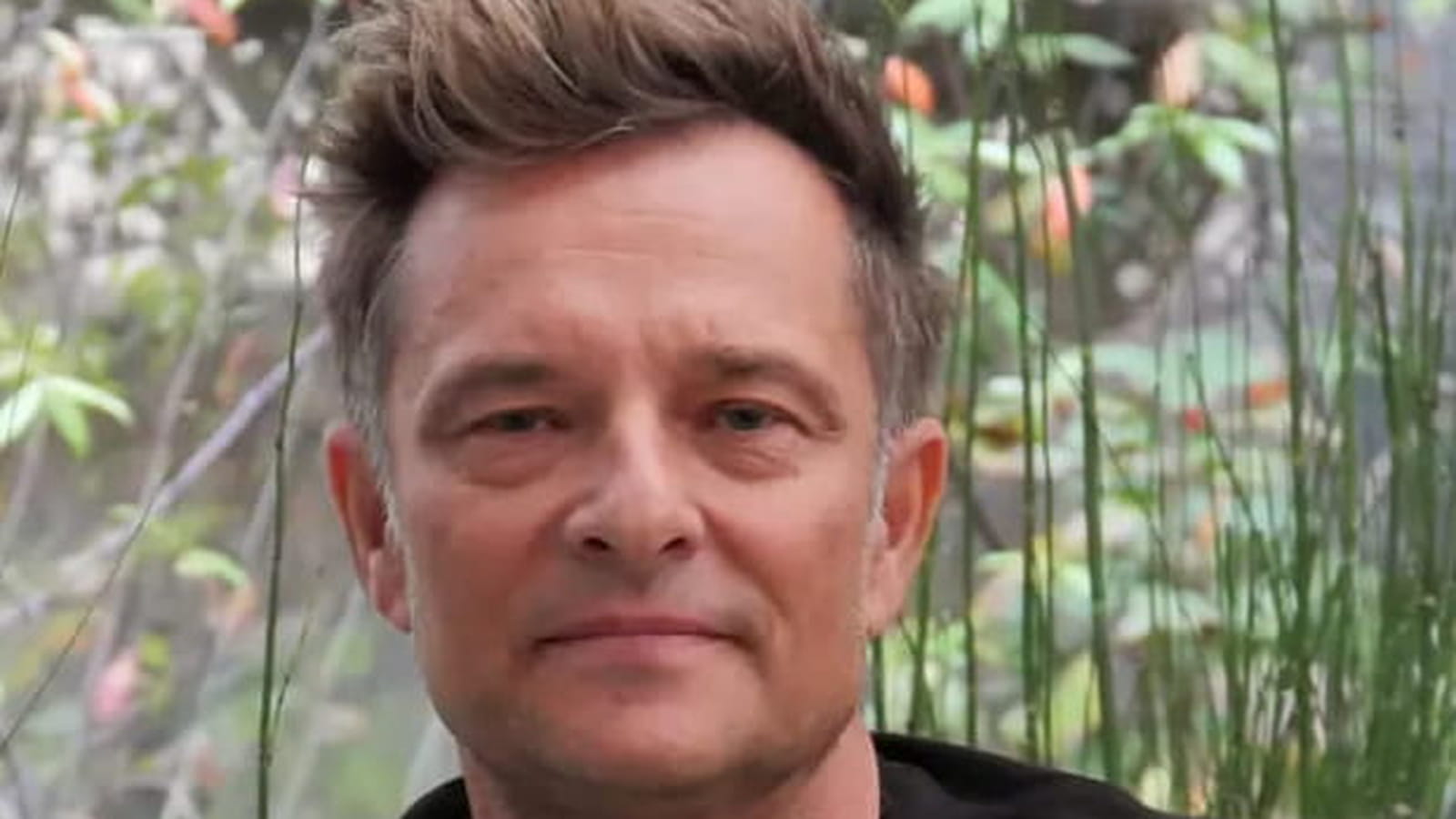 David Hallyday