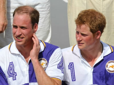 joan wakeham rex featrexsipa300