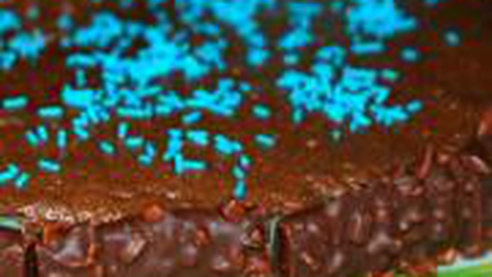 Mousse au chocolat curaçao