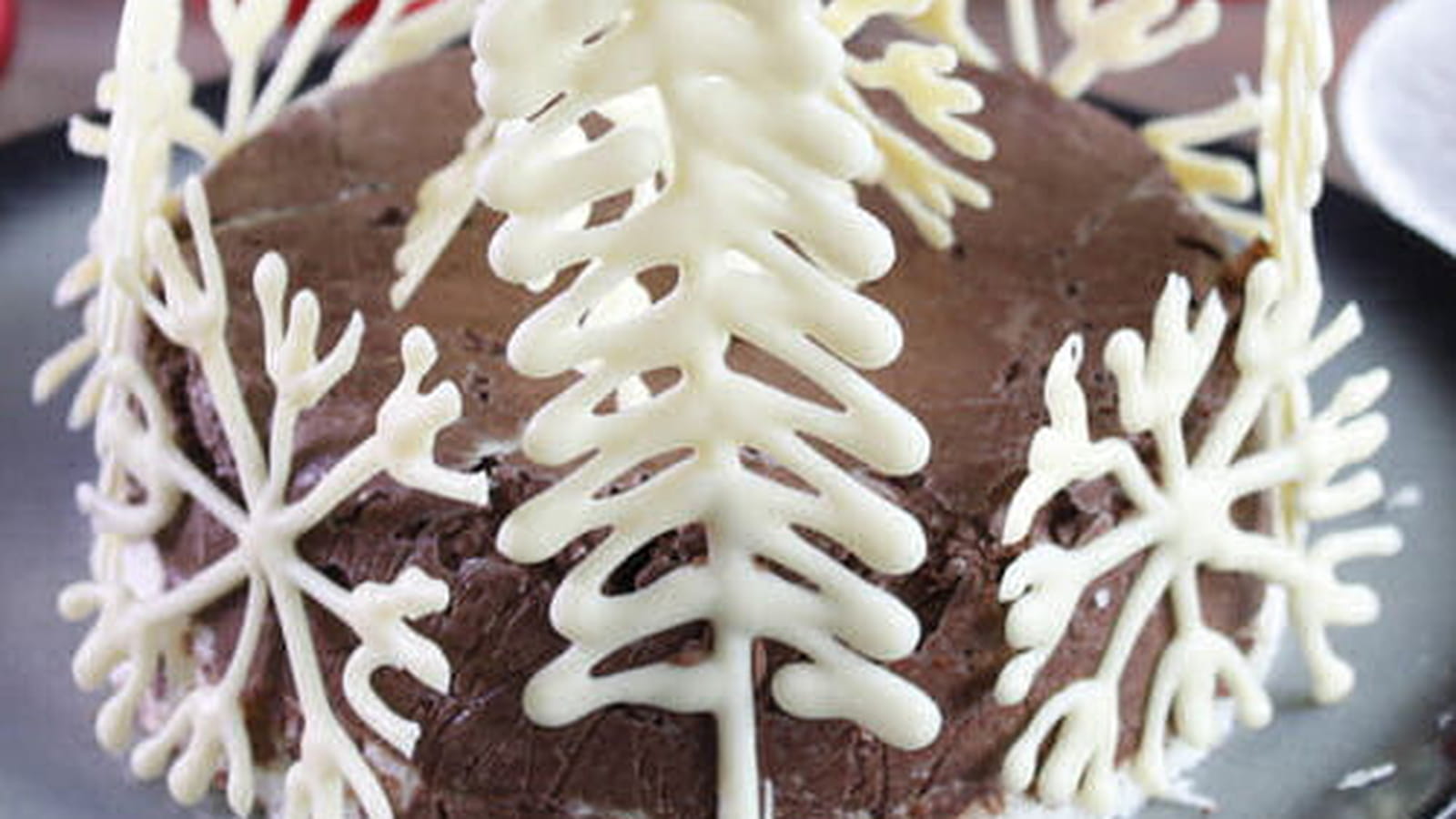 Gâteau glacé chocolat Noir Absolu, pralin coco