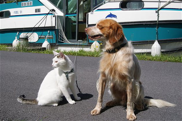 Vos animaux en vacances