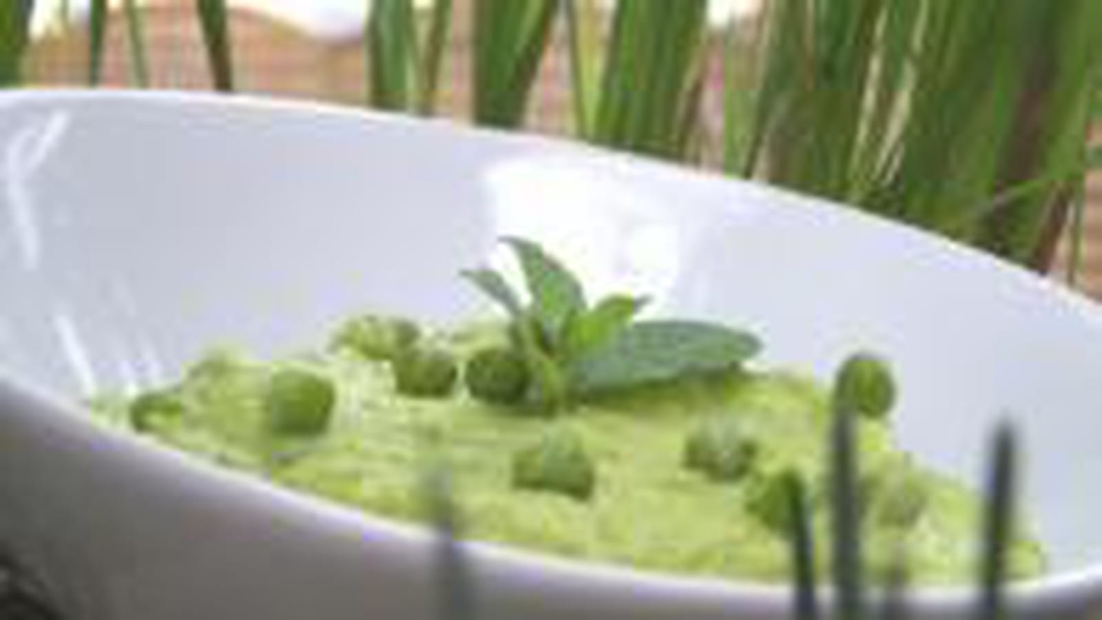 Purée petits pois et menthe