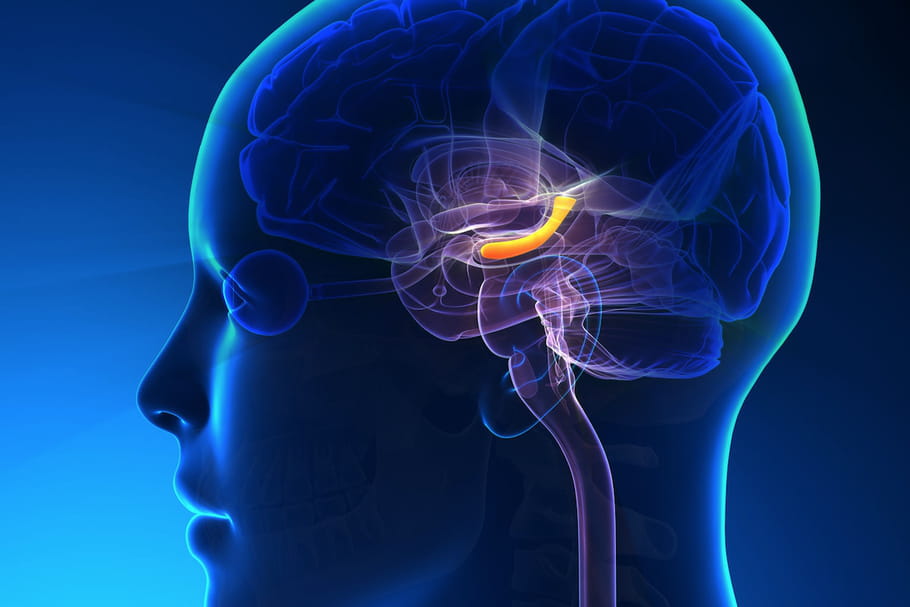 Atrophie hippocampique : conséquence, liens avec Alzheimer, traitement