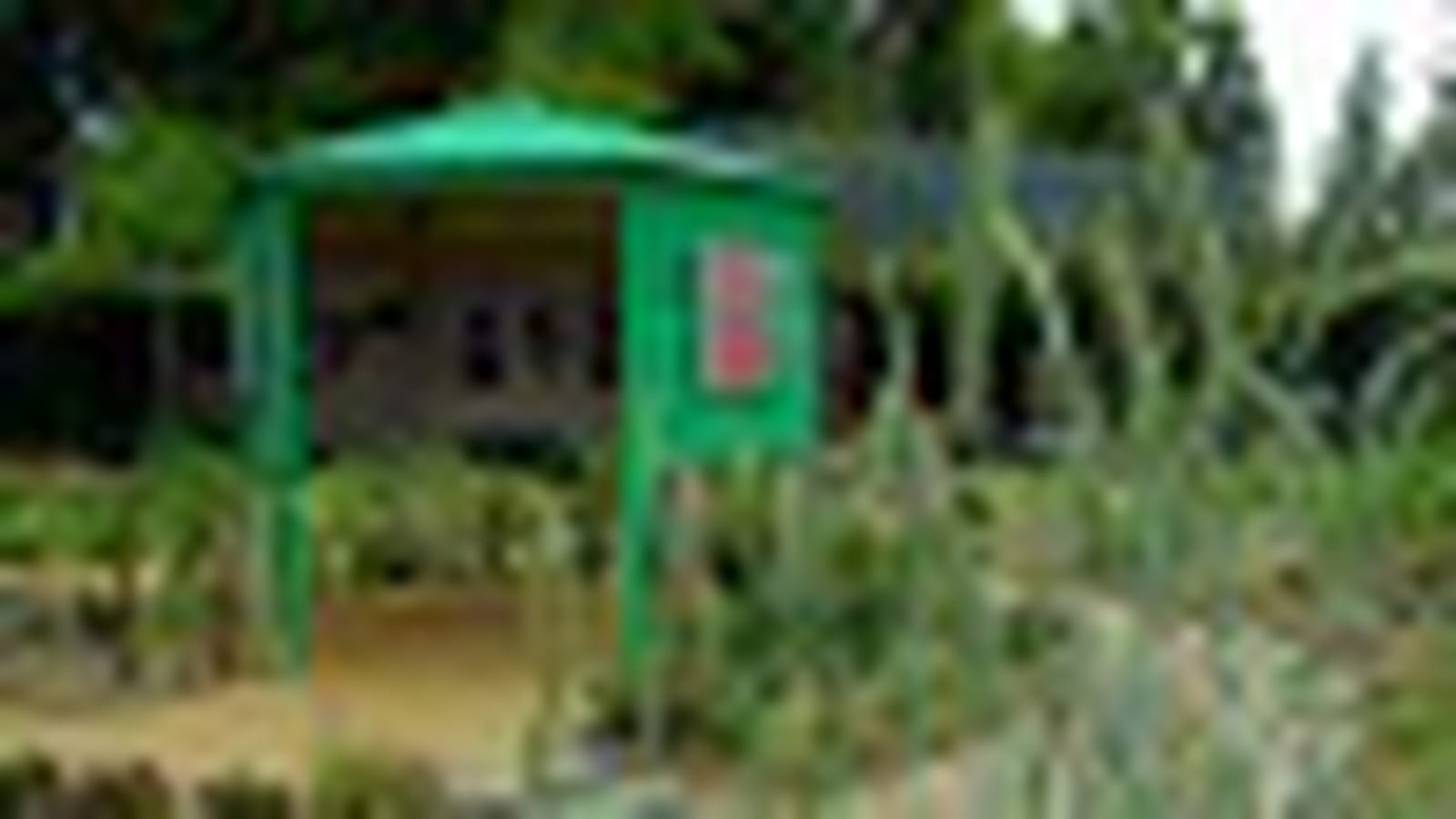 Cocagne de jardin