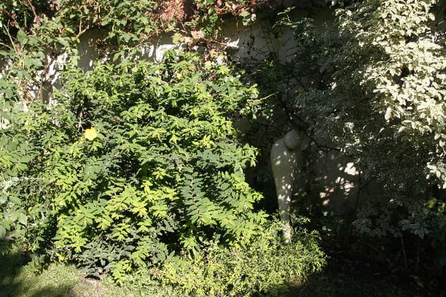 Une attention de tous les jours