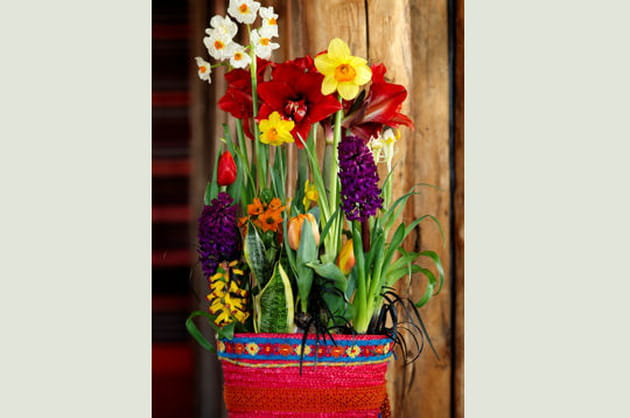 Toutes dans le m&ecirc;me sac