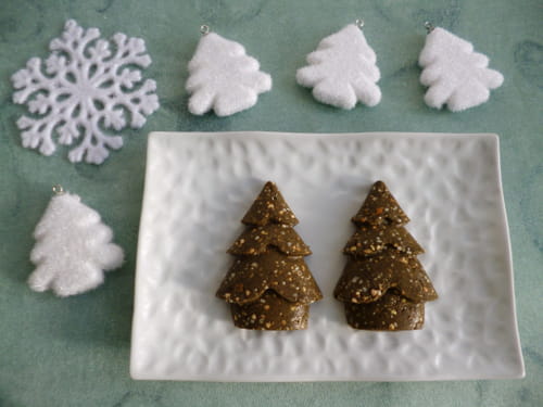 Gâteaux-sapins crus végans chanvre-sarrasin avec pommes-noisettes-noix-dattes-raisins et psyllium