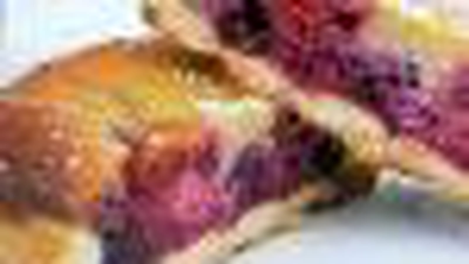 Tourte fruits rouges