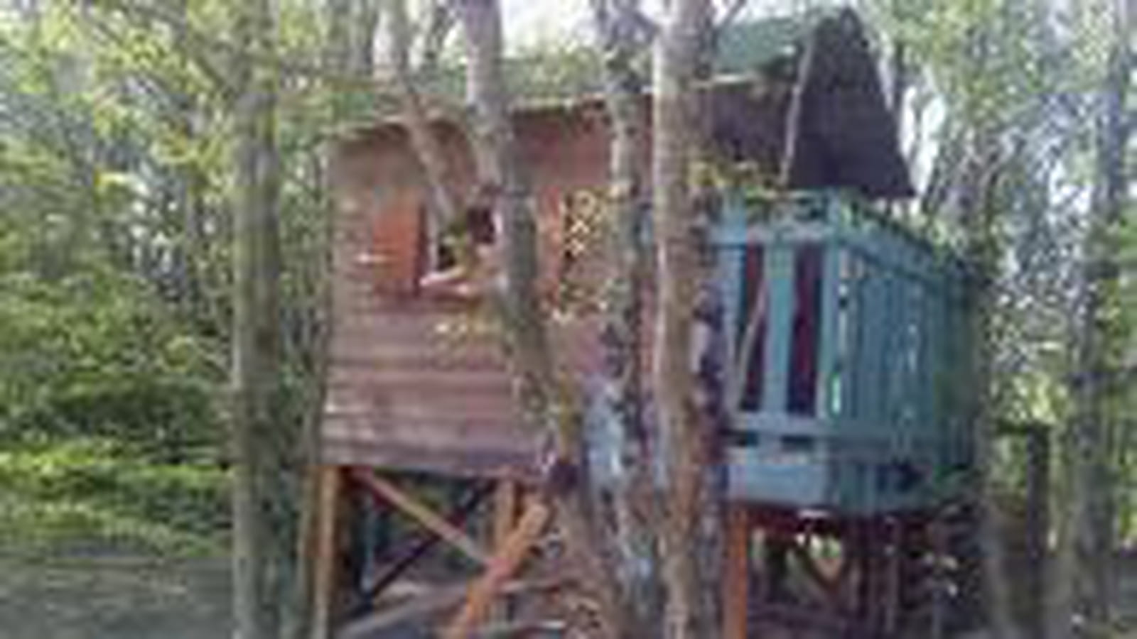 Cabane sur pilotis
