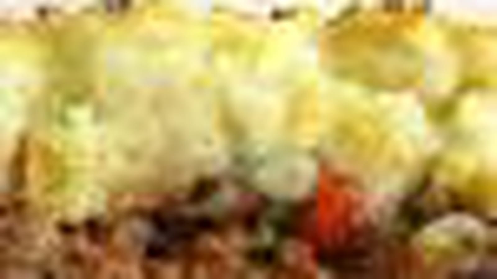 Hachis parmentier