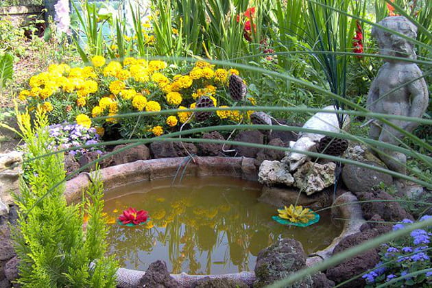 Mini bassin rafra&icirc;chissant