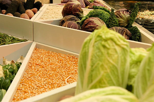 Entre choux et ma&iuml;s