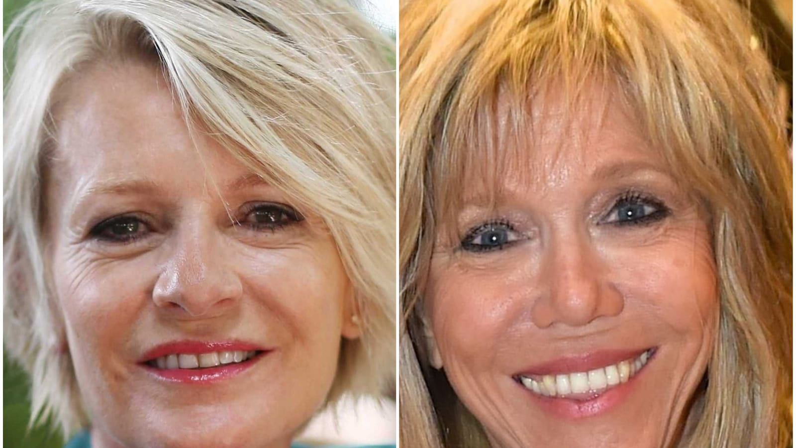 Sophie Davant et Brigitte Macron