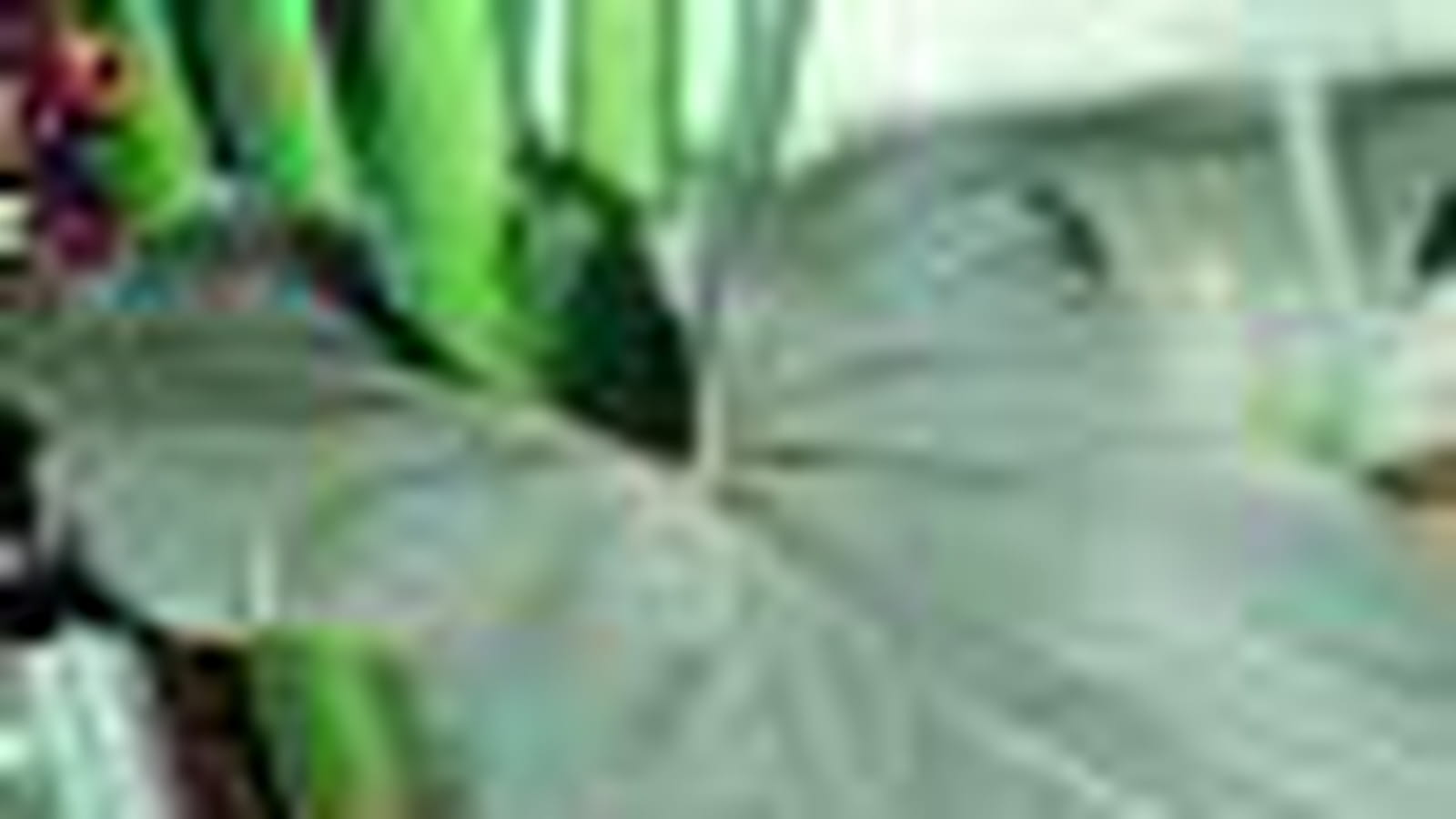La feuille d'anthurium