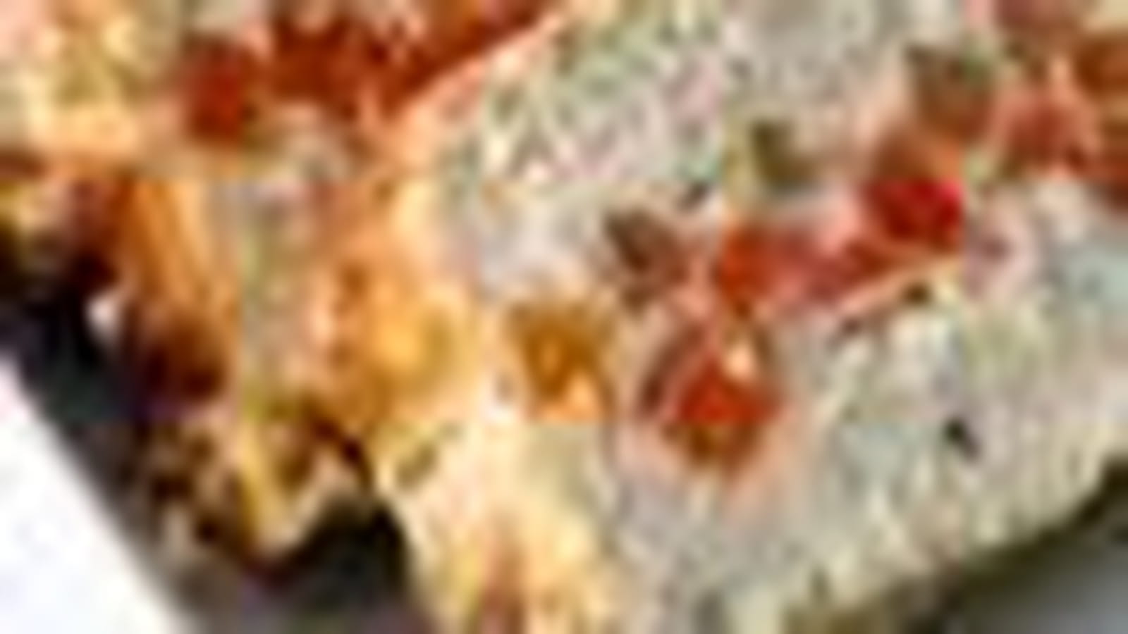 Terrine