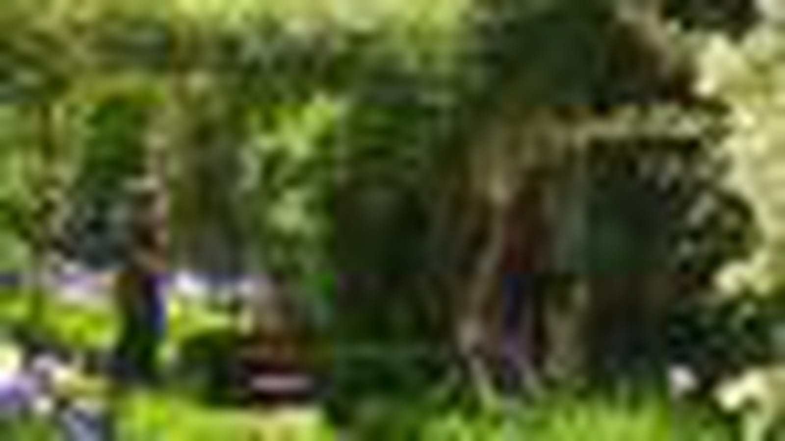 Jardins de Verderonne