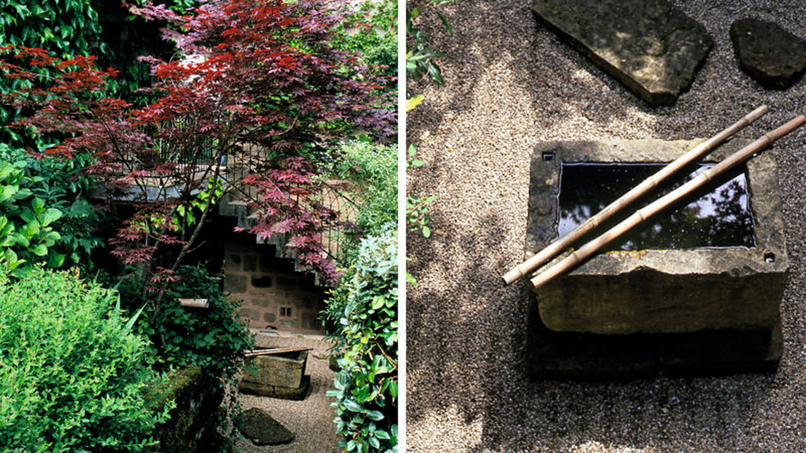 Jardin japonais