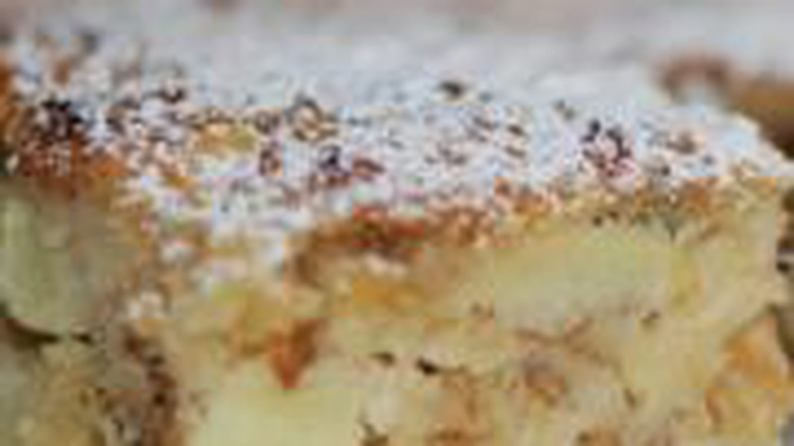 Carrés mesli coco pommes