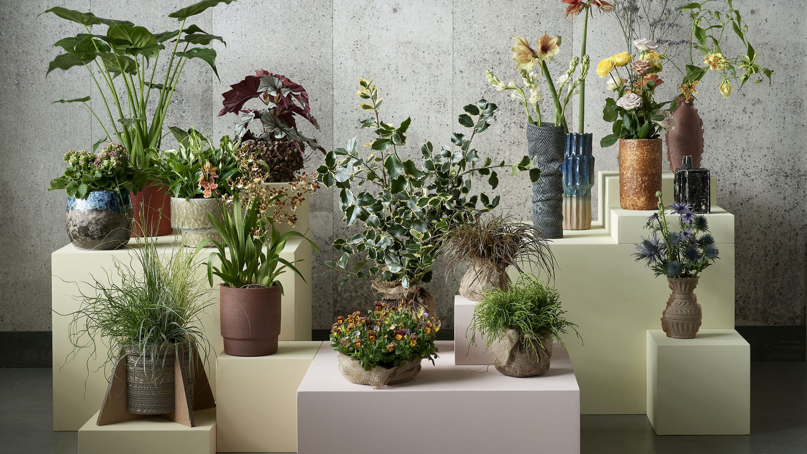 La Joie des Fleurs