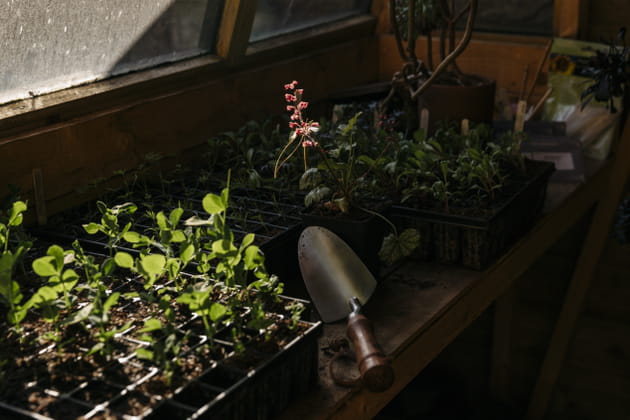 Transplantoir de jardin Zara Home