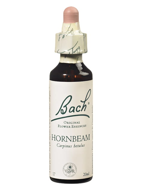 Hornbeam (charme)&nbsp;: un coup de boost pour la motivation