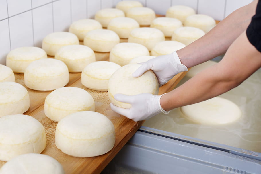 Salmonellose : symptômes, contamination et traitement
