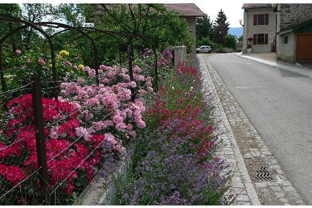 Un hameau v&eacute;g&eacute;talis&eacute;