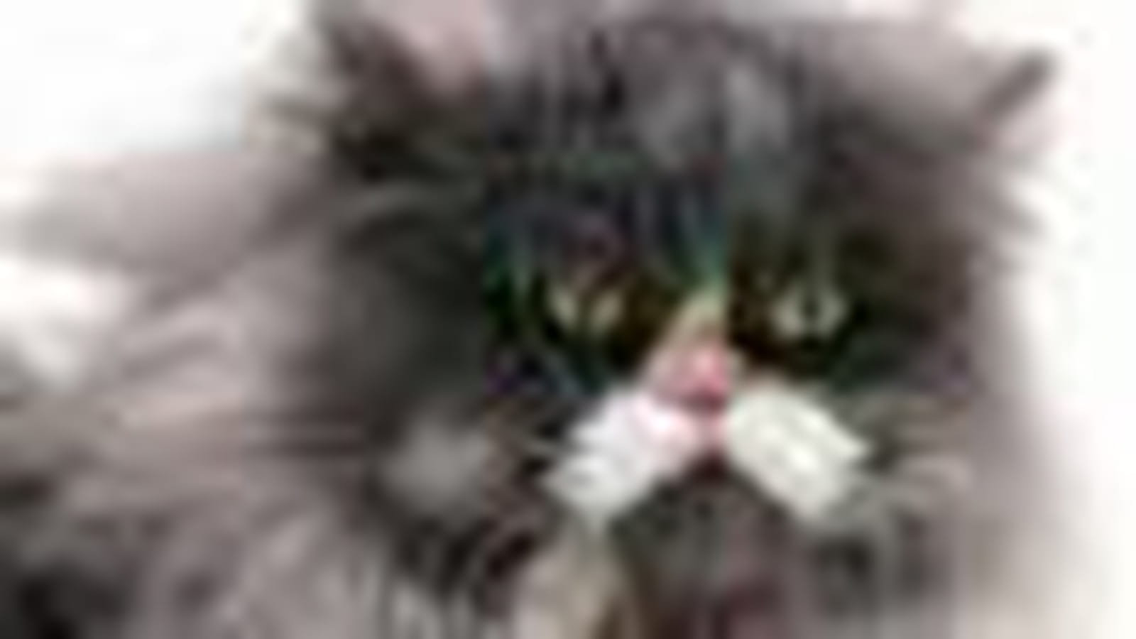 Gustave