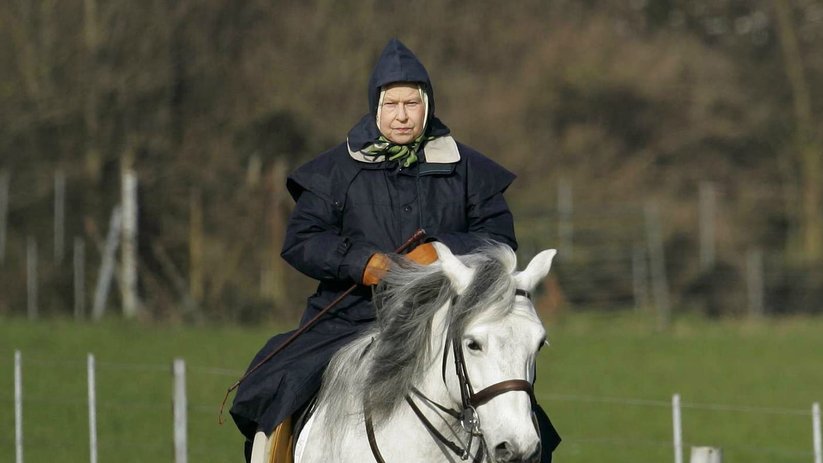 Encore et toujours à cheval