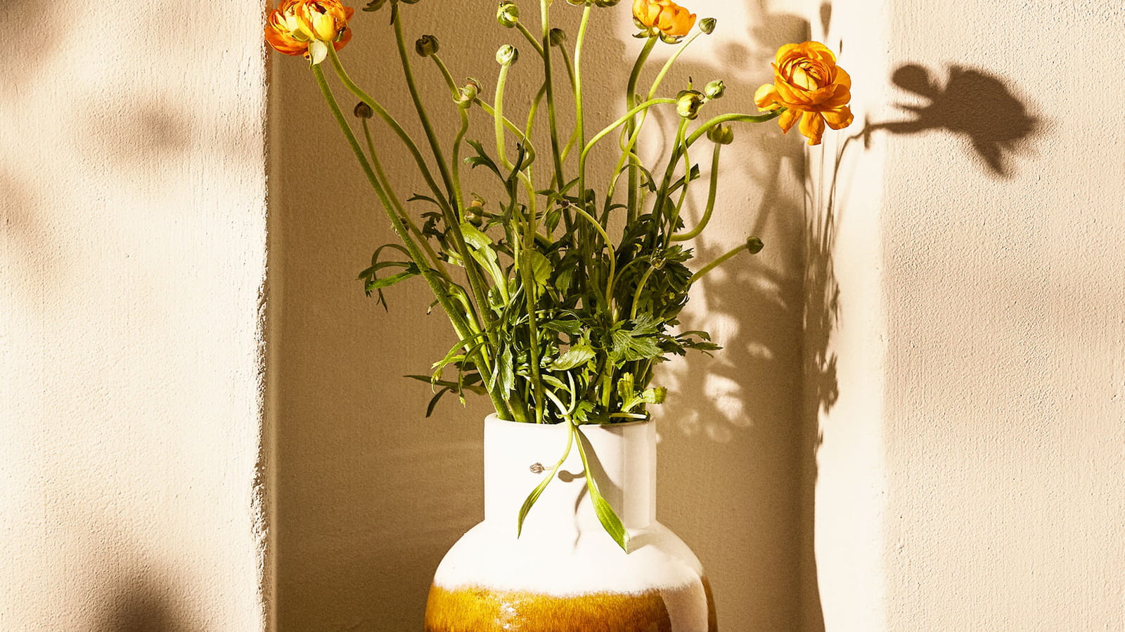 Vase dégradé