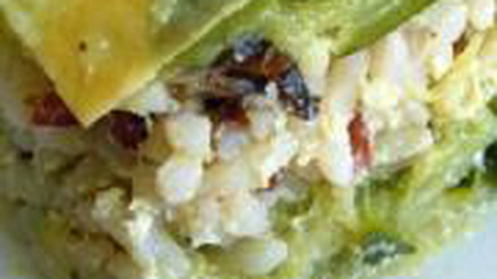 Courgettes et riz en gratin