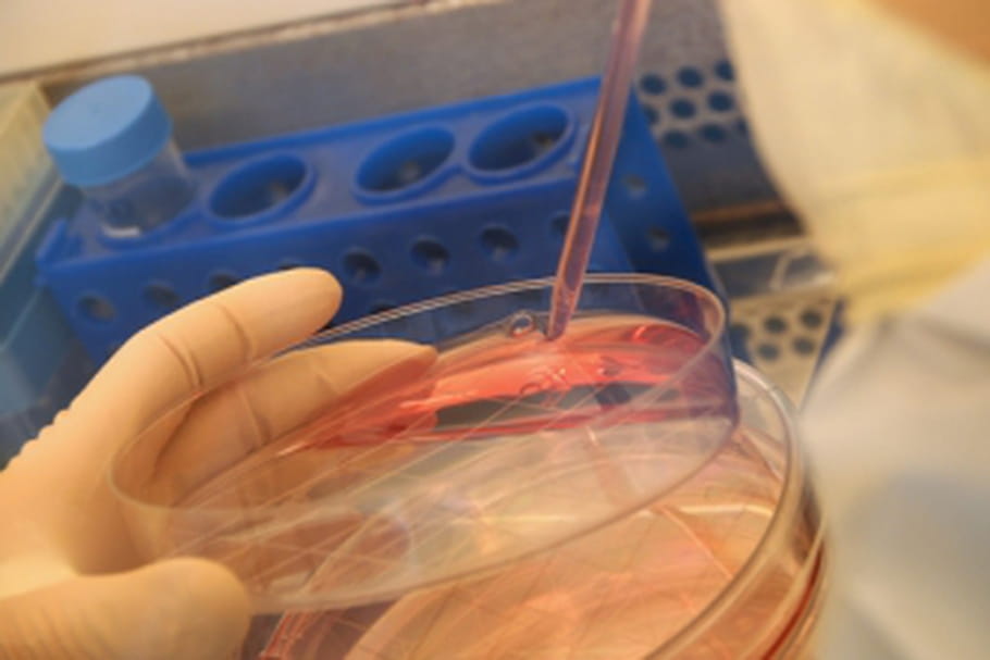 La thérapie génique, un espoir immense pour les maladies rares ET fréquentes