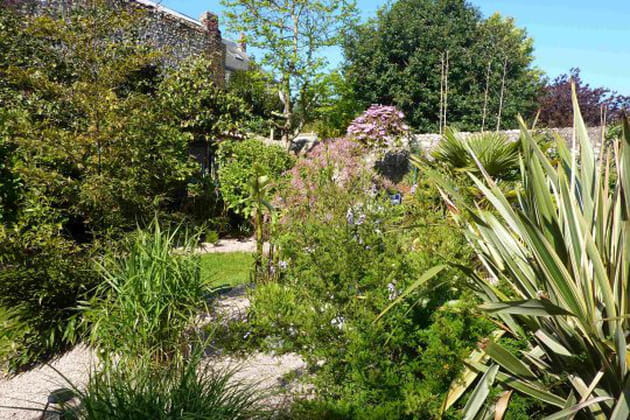 Le c&ocirc;t&eacute; sauvage du jardin