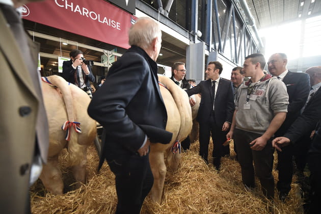 Emmanuel Macron, sur le plancher des vaches