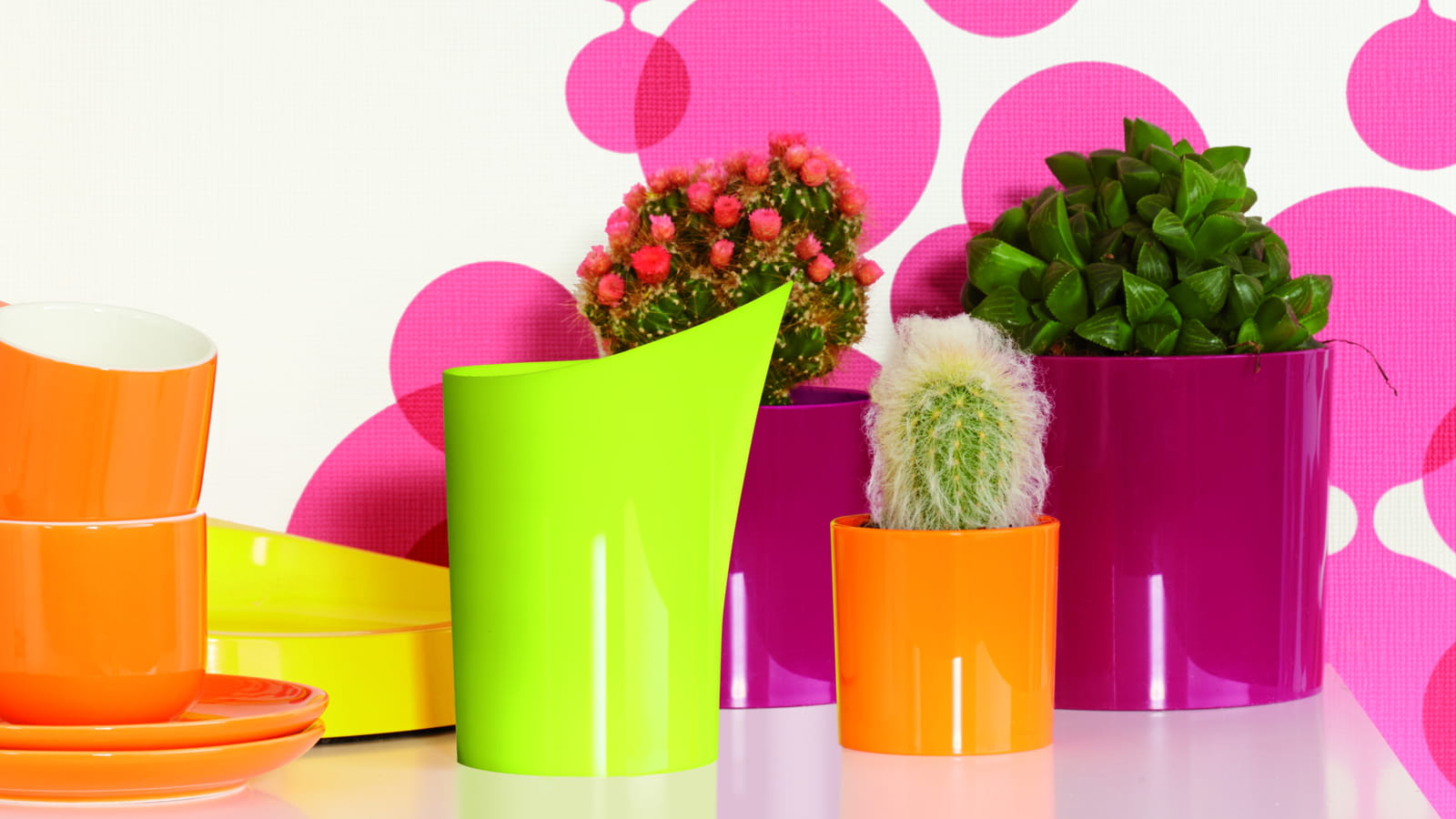 Collection B.for Elho