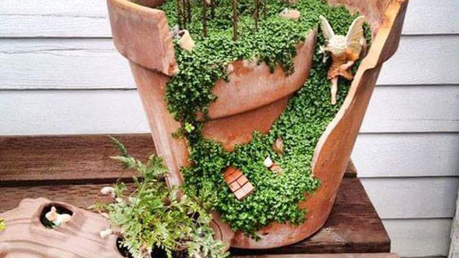 Mini jardin