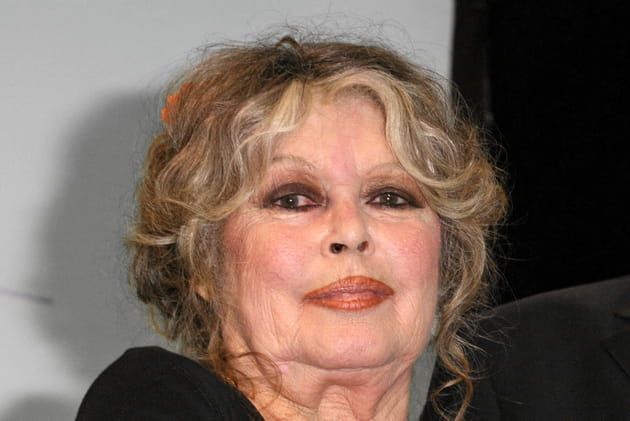 Brigitte Bardot : "j'aurai préféré accoucher d'un chien"