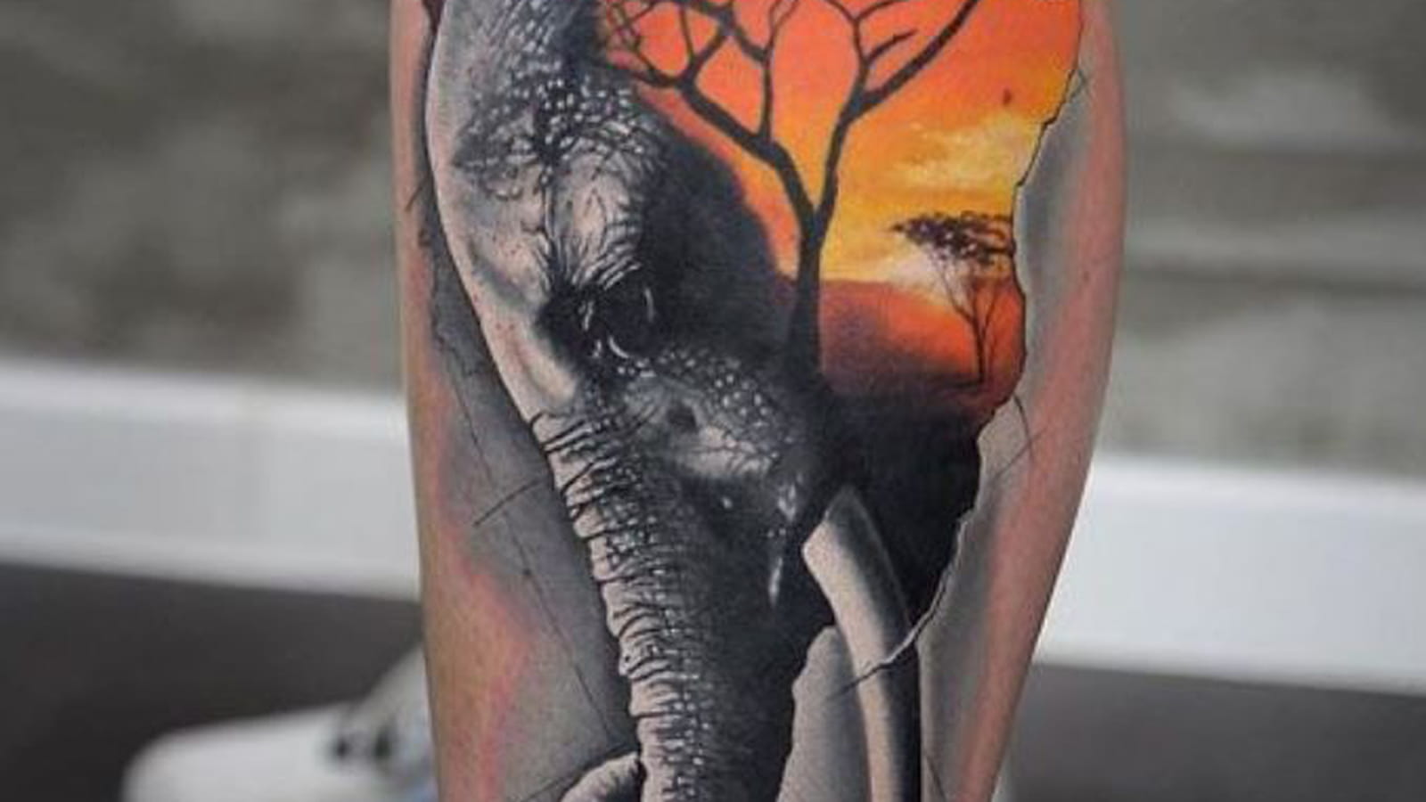 Éléphant et paysage coloré sur le mollet