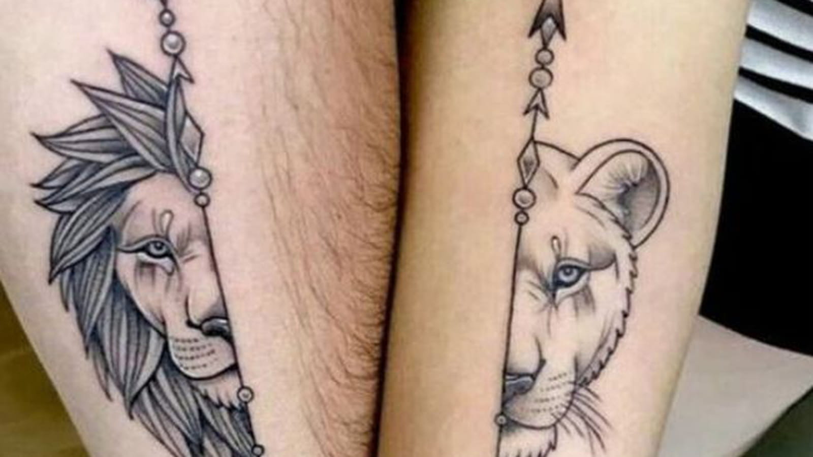 Le lion et la lionne