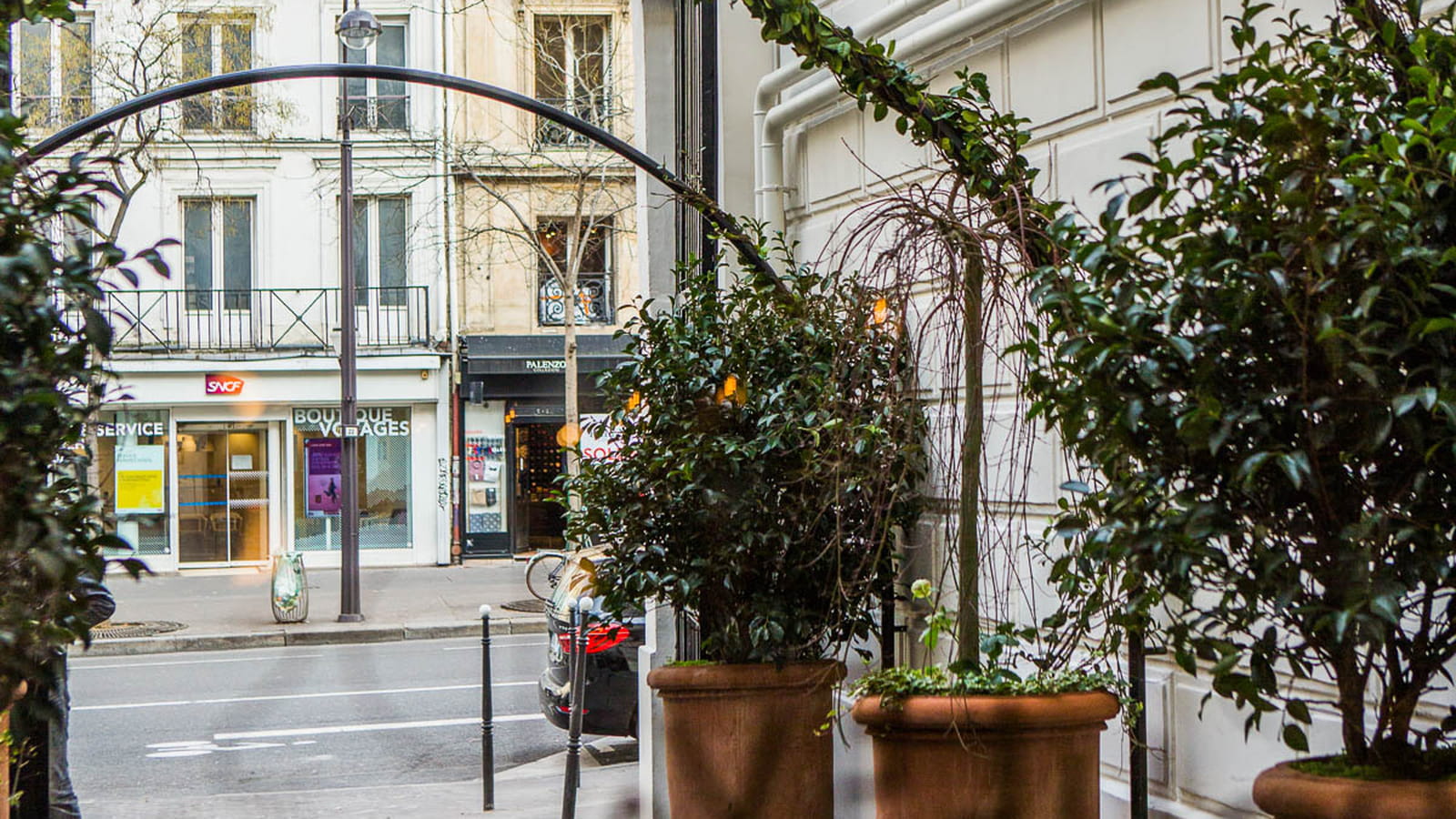 Allée arborée 
